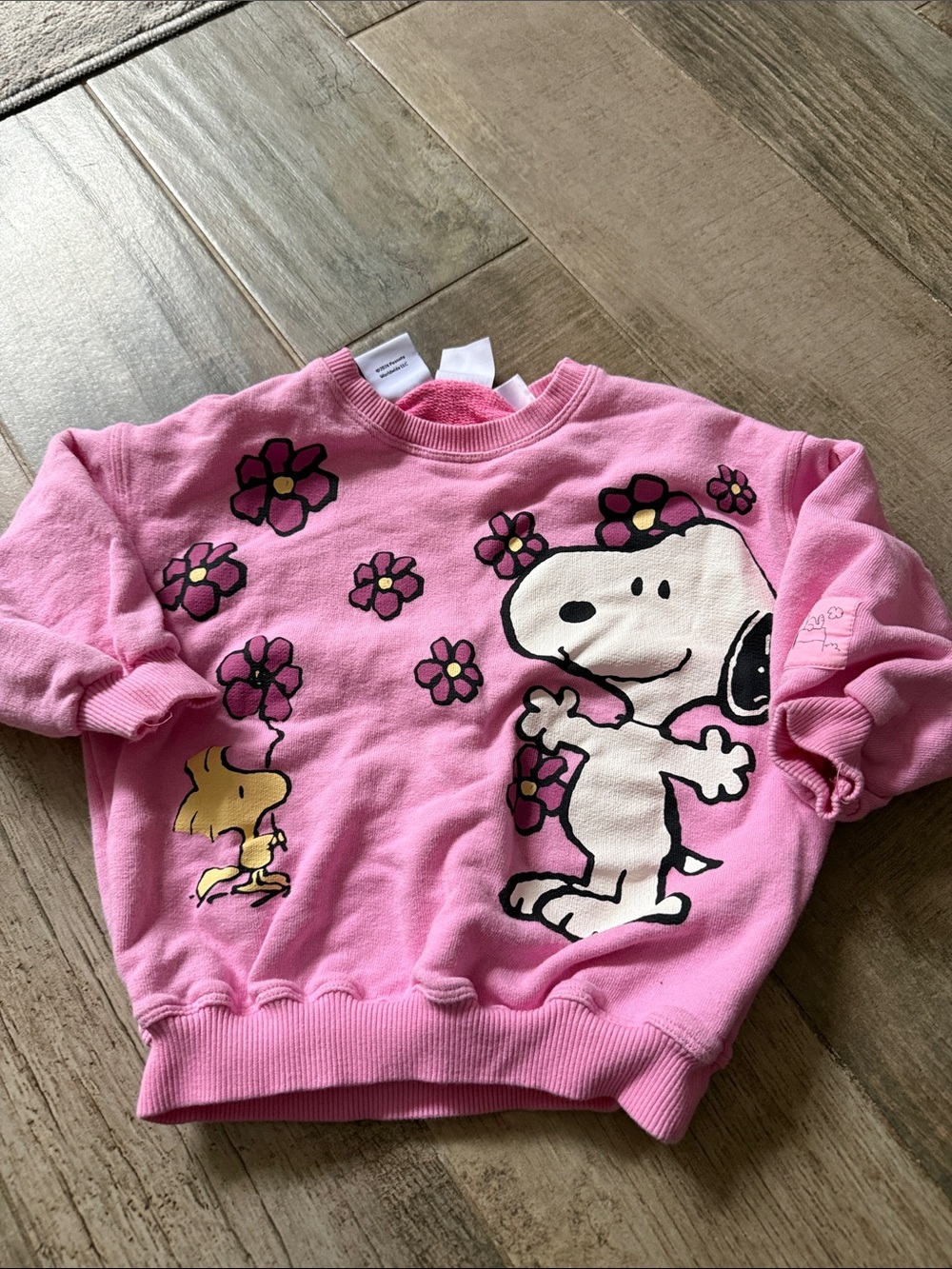 Zara Pink Snoopy & Woodstock Flower Graphic Sweatshirt - Kids